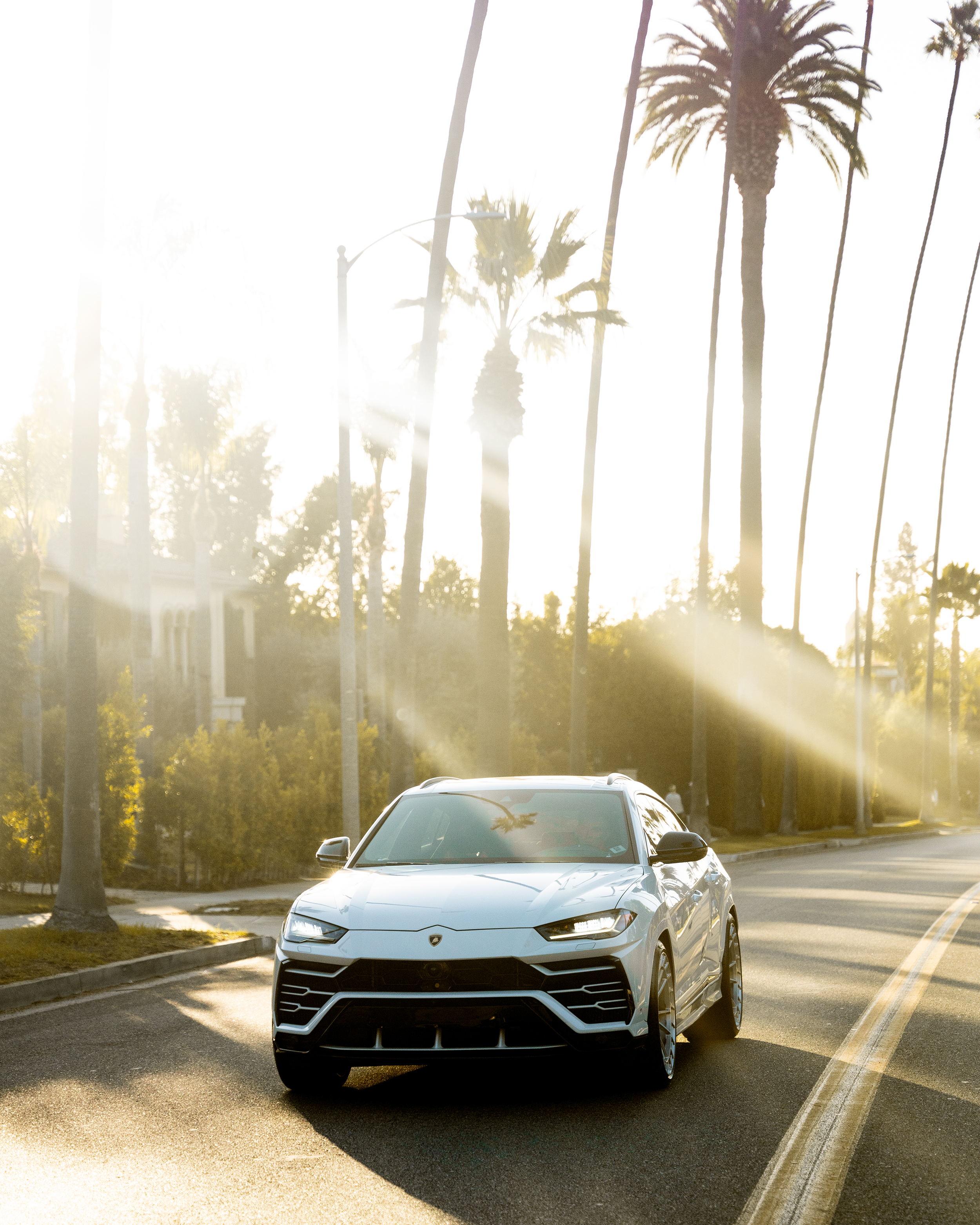 E. Car Rentals